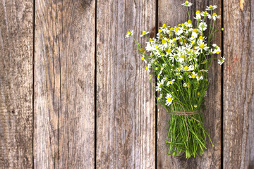 bouquet of wild chamomile flowers on a wooden background with copy space