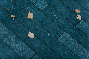 blue wooden background
