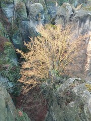 beautiful nature of bohemian switzerland national park