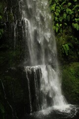 waterfall in the forest