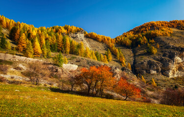 Autumn mountain landscape. Autumn in mountains. autumn landscape in the mountains
