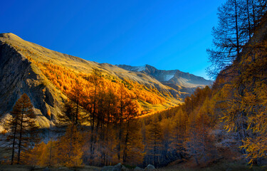 autumn landscape with a mountain