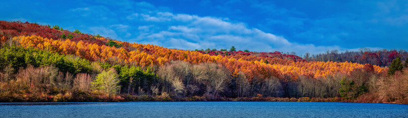 Autumn. Autumn forest panoramic landscape. Beautiful autumn panorama
