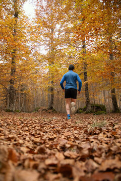 Back view of a male runner in a forest during autumn