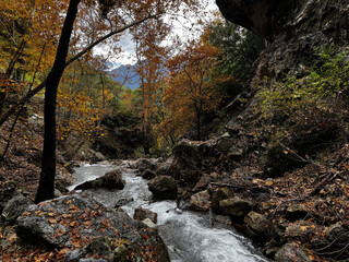 Obraz premium mountain river autumn rapids trees. High quality photo