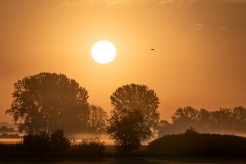 Fototapeta premium Herbstzauber am Stausee Kelbra (Thüringen, Deutschland). Die aufgehende Sonne taucht die Landschaft in ein goldenes Licht. Nebel liegt auf den Wiesen.
