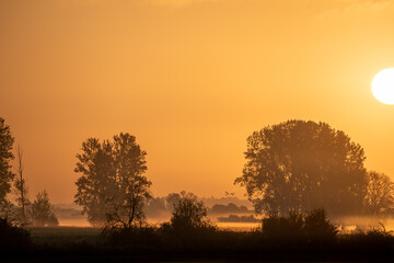 Herbstzauber am Stausee Kelbra (Thüringen, Deutschland). Die aufgehende Sonne taucht die Landschaft in ein goldenes Licht. Nebel liegt auf den Wiesen.