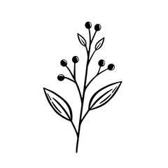 Hand drawn twig with leaves and berries. Botanical element. Flat vector illustration isolated on white background.