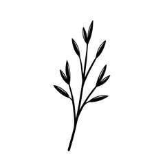 Branch of a plant. Hand drawn botanical illustration isolated on white background.