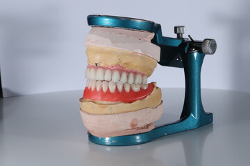 Full-arch dental prosthesis torque wrench and dental implant wrench designed for the edentulous jaw...