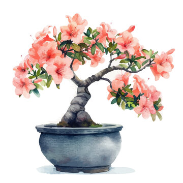 watercolor bonsai tree with pink flowers clip art preview