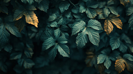 Textured Grapevine Leaves in Deep Teal and Gold Hues Creating Natural Depth Pattern
