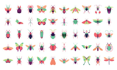 Vector Bugs Exotic Cartoon Decorative Insects Set Illustration Isolated