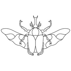 Vector Scarab Beetle Bug Insect Cartoon Illustration Isolated