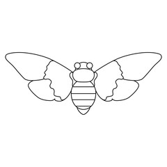 Vector Moth Night Butterfly Cartoon Illustration Isolated