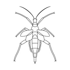 Vector Grasshopper Bug Insect Cartoon Illustration Isolated