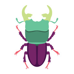 Vector Scarab Beetle Bug Insect Cartoon Illustration Isolated