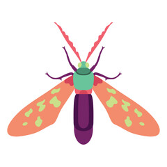 Vector Moth Night Butterfly Cartoon Illustration Isolated