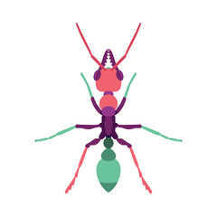 Vector Ant Bug Insect Cartoon Illustration Isolated