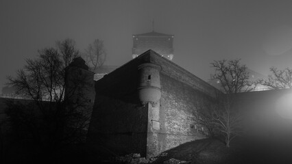 Zamek Krolewski na Wawelu, Kraków 