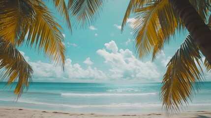 Fototapeta premium Low-angle shot of three palm trees, summer vibes, tropical background