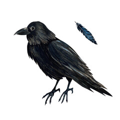 Black scary crow and dark blue feather. Watercolor illustration for Halloween or Day of the Dead on Isolated background. Suitable for Gothic or Esoteric style for textile, print product and postcards