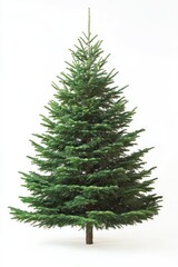 Fototapeta premium Stunning Isolated Christmas Tree on Crisp White Background for Festive Holiday Celebrations