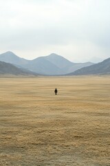Obraz premium Psychological effects of solitude illustrated through a lone figure surrounded by an expansive, desolate terrain.