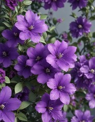 a cluster of vibrant purple flowers with delicate petals and leaves, outdoor scenery , botanicals, floral arrangements