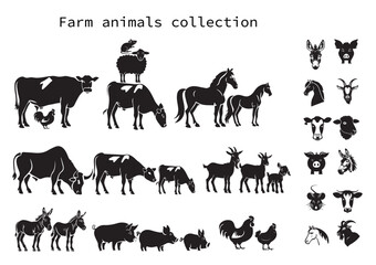 Fototapeta premium Vector farm animals collection isolated on white
