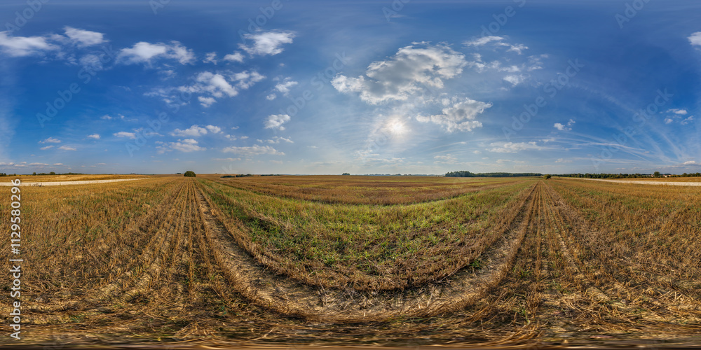 Canvas Prints hdri 360 panorama on farming fields in spring nasty evening before sunset in equirectangular full se