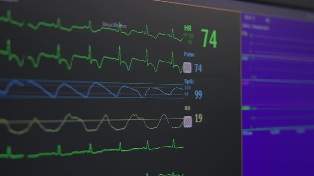 Doctor monitors vital signs
