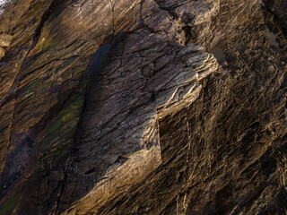 Textured Rock Formations Along Vancouver Island's West Coast