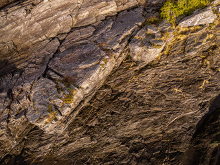 Rocky Cliffside with Vegetation on Vancouver Island, British Columbia