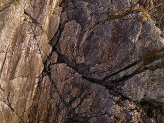 Close-Up of Detailed Rock Texture on Vancouver Island Coast