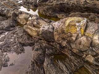 Rugged Rocky Shoreline of Vancouver Island at Low Tide