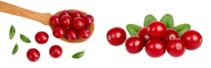 Cranberry in wooden spoon isolated on white background with  full depth of field, Top view. Flat lay