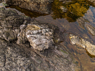 Rocky Coastal Tidepools on Vancouver Island's Rugged West Coast
