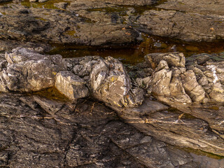 Rugged West Coast Rocks with a Natural Beauty on Vancouver Island