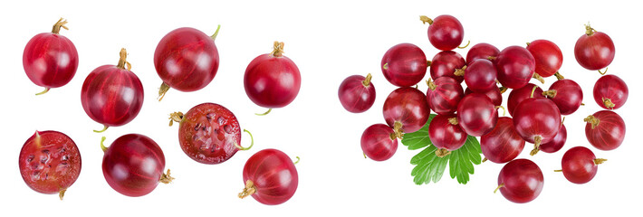 Red gooseberry isolated on white background. Top view. Flat lay.