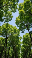 Trees as earths natural air filters planting more helps fight air pollution for improved health