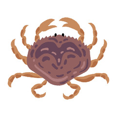 Dungeness crab vector illustration. Not AI.