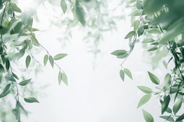 Green Leaves on Blurred White Background with Soft Natural Light