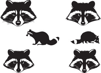 Vector Raccoon Illustration for Wildlife Themes
