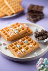 photo Delicious waffles topped with colorful mini marshmallows, served alongside rich chunks of chocolate, creating a tempting and indulgent dessert experience for all ages