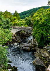 Fototapeta premium river in the forest and bridge