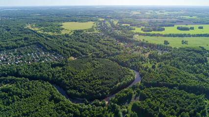 Forest with a river running through it