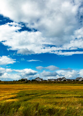 field and blue sky