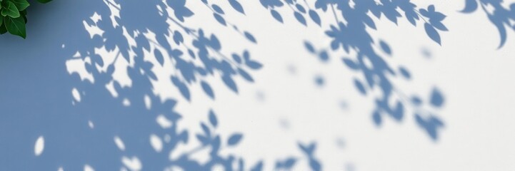 Leaf shadows creating a beautiful and intricate pattern on a cement surface, surface, design, concept
