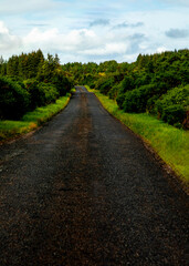 road in the countryside